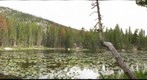 Nymph Lake, August