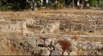 EF2 basilica at Polis