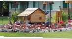 A scene in a  yard in Ashland Illinois