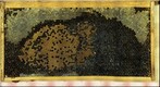 Healthy Bee Frame Progression Day 6