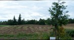 Jenna and Dave's farm, Scholl's Ferry