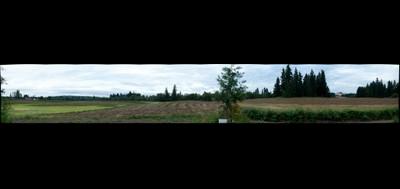 82076-400x189
