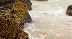 Ecola State Park, Oregon