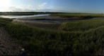 Salt Marsh at Wells, Maine
