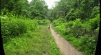 Carpenter Woods Meadow