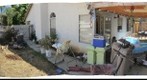 our (hopefully) backyard