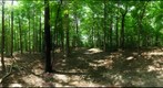 Dairy Bush GigaPan - 98 - July 17 2011