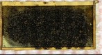 AFB Frame