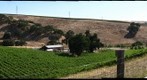 Big White House Winery