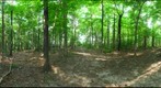 Dairy Bush GigaPan - 99 - July 20 2011