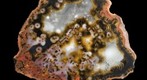 Agate from Morocco (4,2 x 3,6 cm)