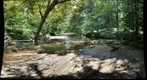 East Branch Fishing Creek (Sullivan County, Pennsylvania)