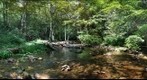 West Branch Fishing Creek (Sullivan County, Pennsylvania)