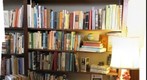 Birdsong Shoppe in Elkhart, Illinois full of vintage things and books