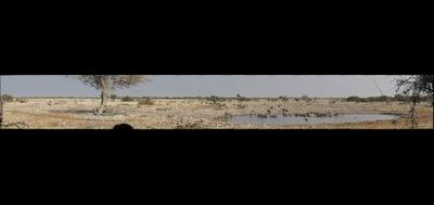8252-400x189