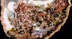 Agate from Morocco (5,5 x 4,0 cm)