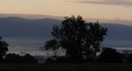 Misty Dawn