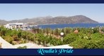 Garden Sound Of The Sea or Roulla's Pride