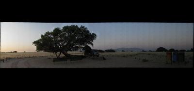 8258-400x189