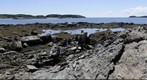 Flat Point, Maine