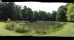 The Backyard and Pond