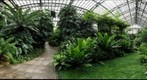 Fern Room, Garfield Park Conservatory
