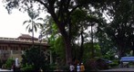 View of History Museum, Botanical Gardens, Zoo, and King Hung Vuong Temple