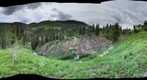 Alta wildflower walk