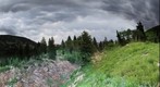 Alta wildflower hike