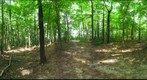 Dairy Bush GigaPan - 100 - July 27 2011