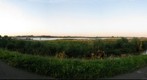 Dikes at the river Waal, Druten