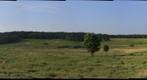 Early Morning at the Sky Meadow