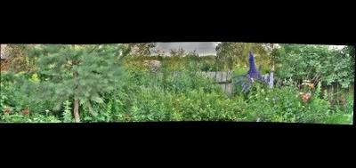 83066-400x189