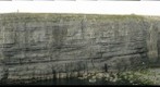 Turbidites, Ross Sandstone, Ireland