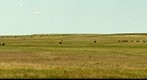 Sage Creek Rim