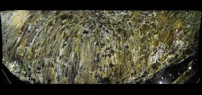 83300-400x189