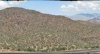 Buffelgrass Treatment site near Tucson, Arizona