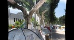 Rothschild_TA_IL