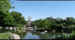 Chicago’s Jackson Park, Osaka Garden