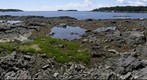 Flat Point, Maine #2