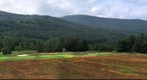 Dorset Field Club #3