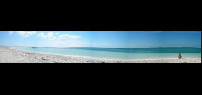83557-400x189