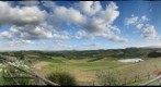 Fattoria Poggio Alloro