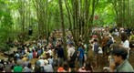 Pickathon