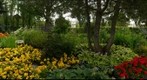 Con Boland Gardens #2