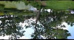 Loring Park 2