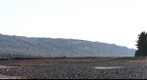 Partial panoramic of Bishop's Beach Alaska