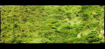 83788-400x189