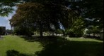 England in Summer