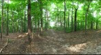 Dairy Bush GigaPan - 101 - August 02 2011